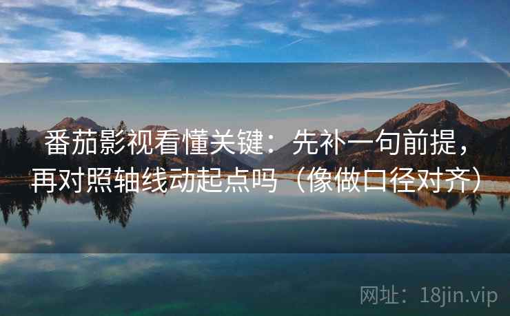 番茄影视看懂关键：先补一句前提，再对照轴线动起点吗（像做口径对齐）